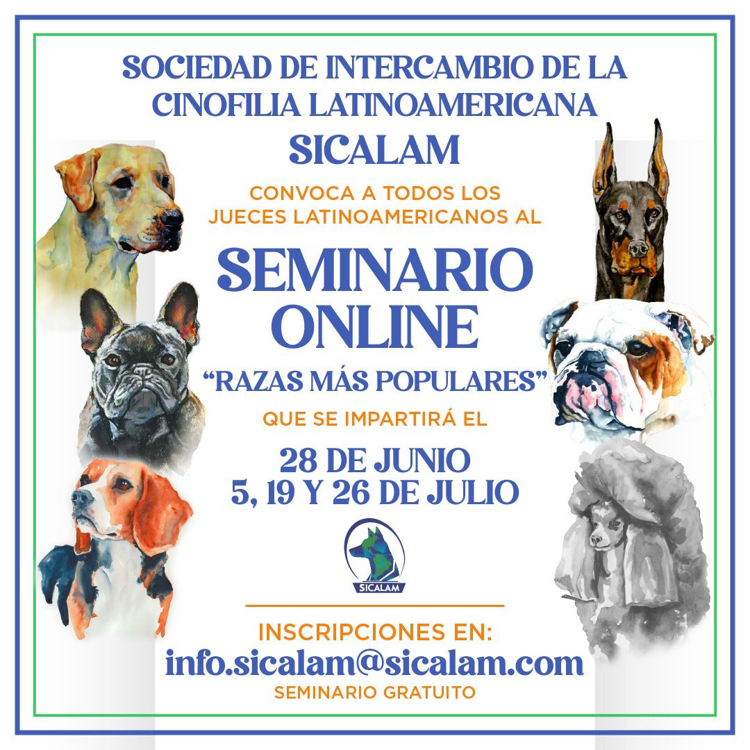 Seminario Online